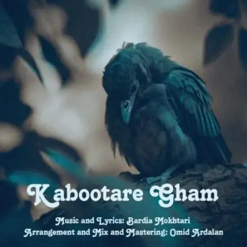 کبوتر غم